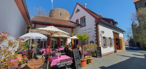Hotels in Neuleiningen